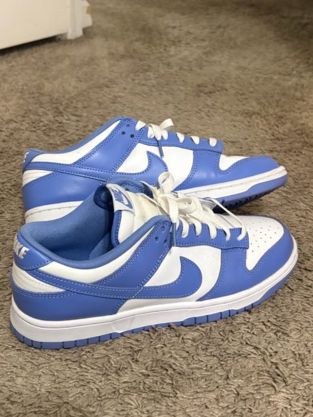 Polar Blue Nike Dunks
